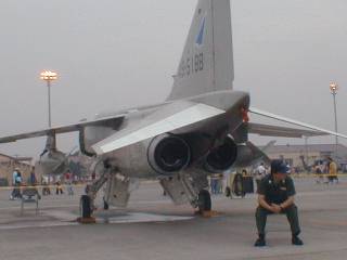 Tail of T-2